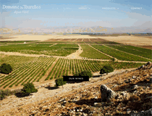 Tablet Screenshot of domainedestourelles.com